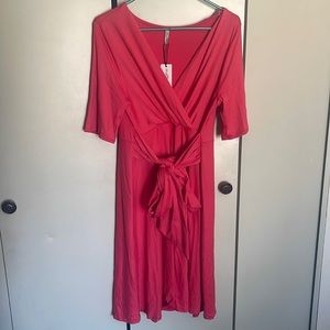 Mother Bee Maternity Dress